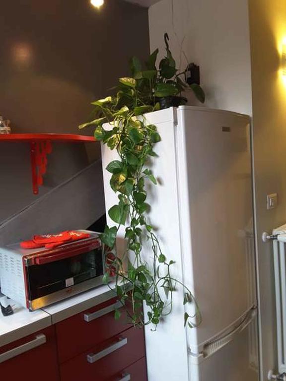 Apartmán Nonno Pinin Turín Exteriér fotografie